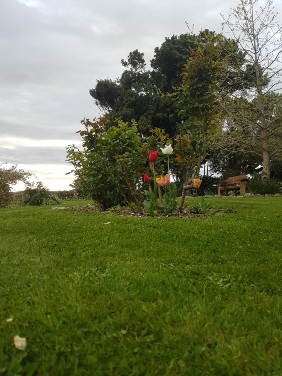 Lancewood Lodge Bulls Eksteriør billede